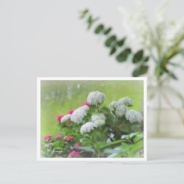 Hydrangea Postkarte (Stehend Vorderseite)