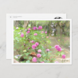 Hydrangea Postkarte