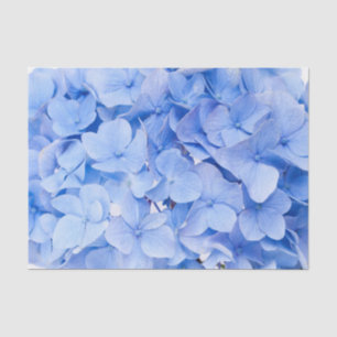 Hydrangea Seidenpapier