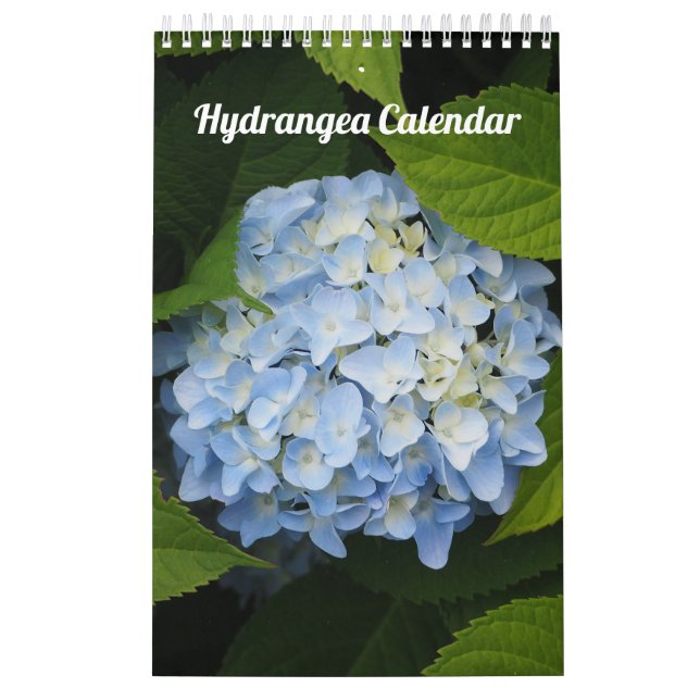 Hydrangea Single Page Kalender (Titelbild)