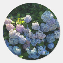 Hydrangea-Sticker-Umschlag Aufkleber