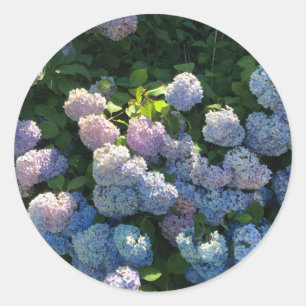 Hydrangea Stickers Umschlag Aufkleber mit Blume