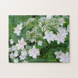 Hydrangea 'Sumida-no-hanabi' [Jigsaw puzzle: 252P]