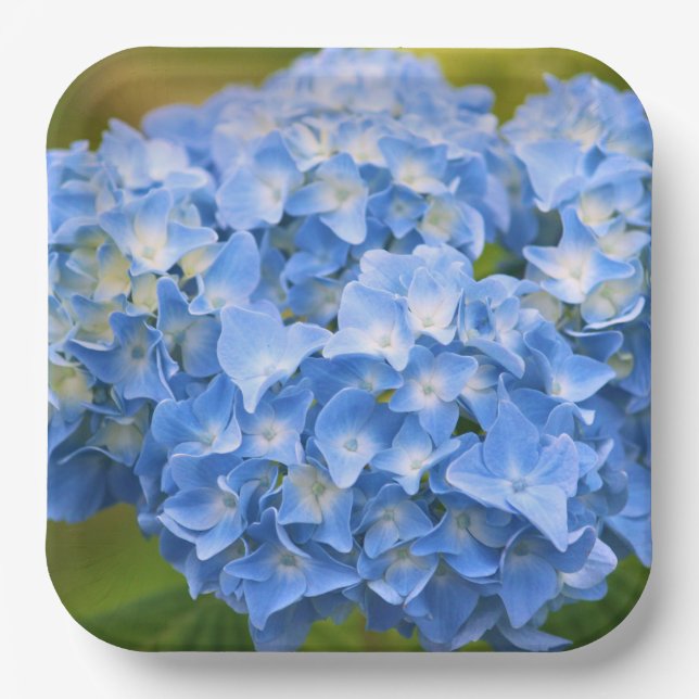 Hydrangea Tellers Party Pappteller (Vorderseite)