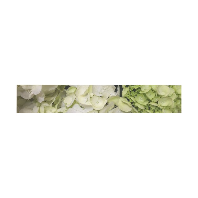Hydrangea White Green Wedding Suite Einladungsbanderole (Flach)