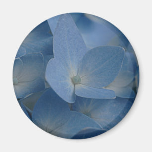 Hydrangeamagnet Magnet