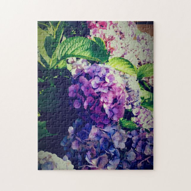 Hydrangeas (Vertikal)