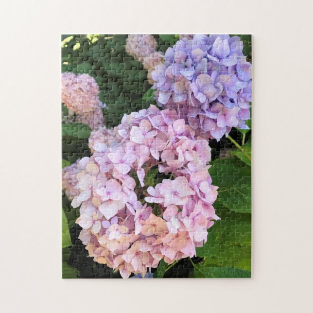 Hydrangeas (Vertikal)