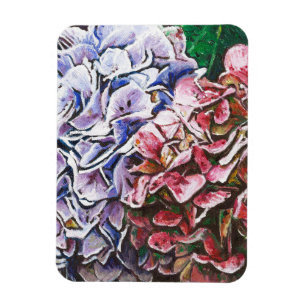 Hydrangeas 2010 magnet