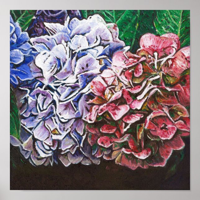 Hydrangeas 2010 poster (Vorne)