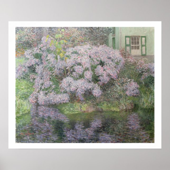 Hydrangeas am Ufer des Flusses Lys, 1898 (oi Poster (Vorne)