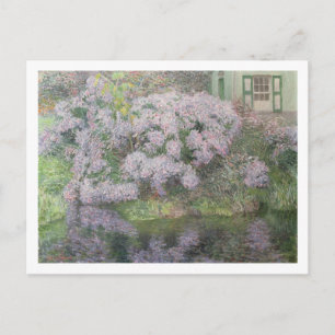 Hydrangeas am Ufer des Flusses Lys, 1898 (oi Postkarte