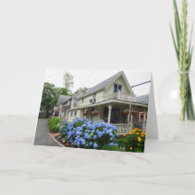 Hydrangeas an der Ecke - Martha's Vineyard