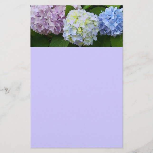 Hydrangeas Briefpapier (Vorderseite)