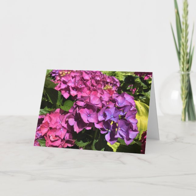Hydrangeas Feiertagskarte (Vorderseite)