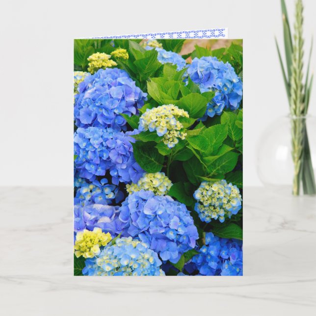 Hydrangeas Friendship Card Karte (Vorderseite)