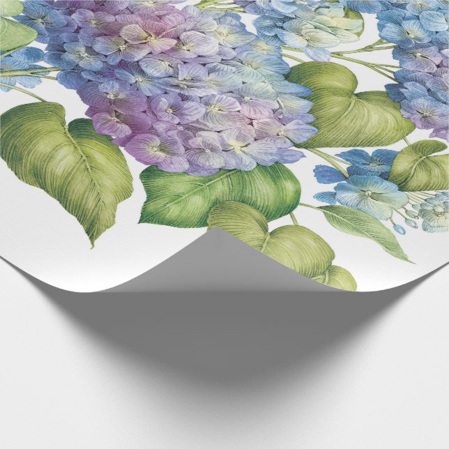 Hydrangeas in Bloom Geschenkpapier (Ecke)