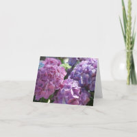 Hydrangeas-Karte