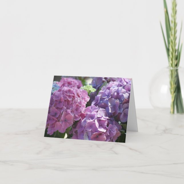 Hydrangeas-Karte Karte (Vorderseite)