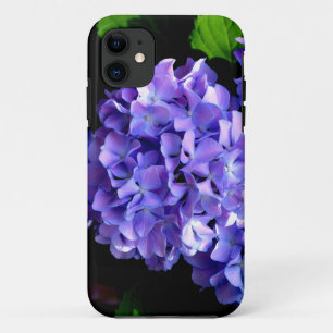Hydrangeas, lila blauer Blume title_seo2