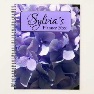 Hydrangeas lila lilac lavender planer