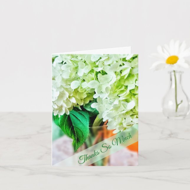 Hydrangeas — Lime Green Flowers Thank You Karte (Kleine Pflanze)