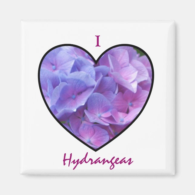 Hydrangeas Magnet (Vorne)