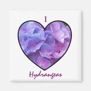 Hydrangeas-Magnet Magnet