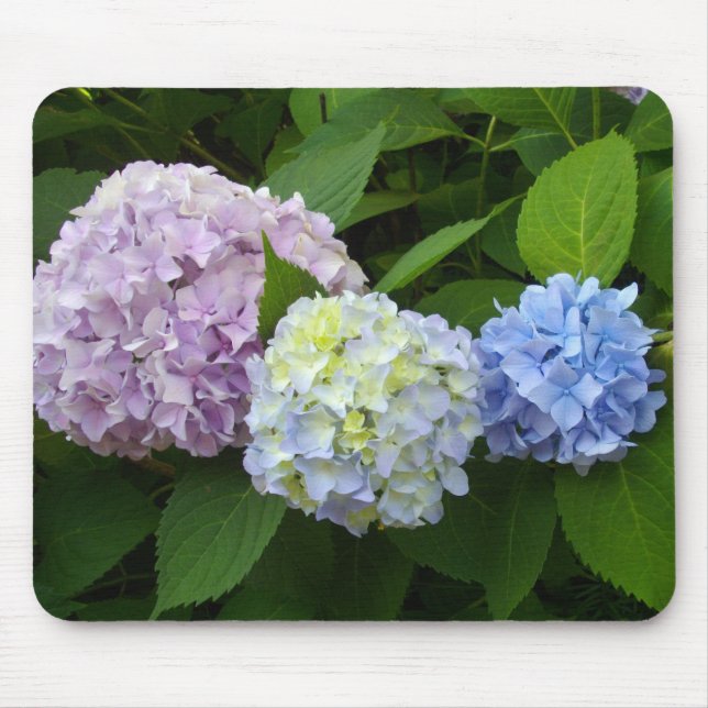 Hydrangeas Mousepad (Vorne)