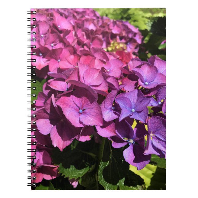 Hydrangeas Notizblock (Vorderseite)
