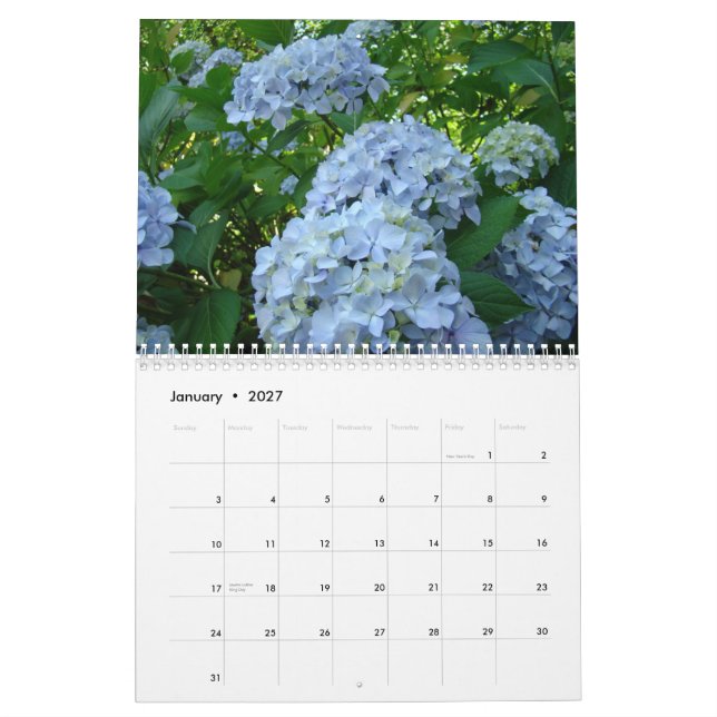 HYDRANGEAS Roses blanches Fougères Calendrier Prof (Jan 2027)