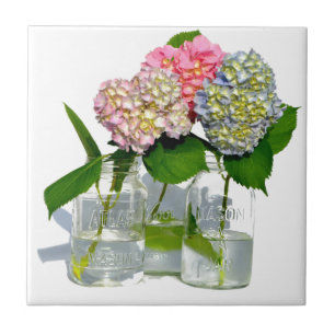 Hydrangeas und Mason jar Fliese