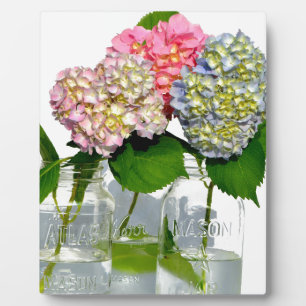 Hydrangeas und Maurerkirsche Fotoplatte