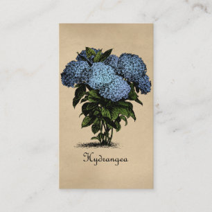Hydrangeas-Vintages botanisches Visitenkarte