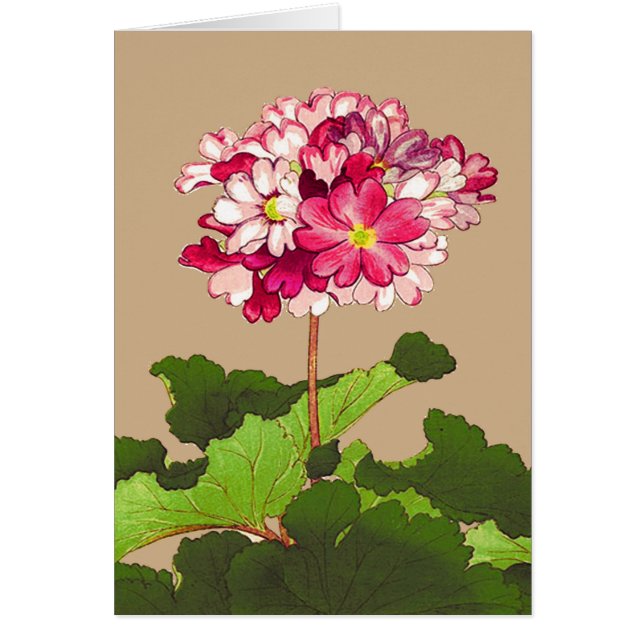 Hydrangée japonaise vintage. Rose et vert (Devant)