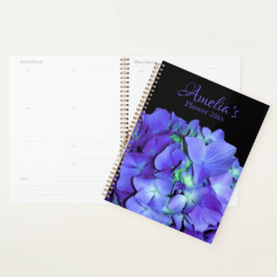 Hydrangée violette et turquoise, fleurs bleu viole