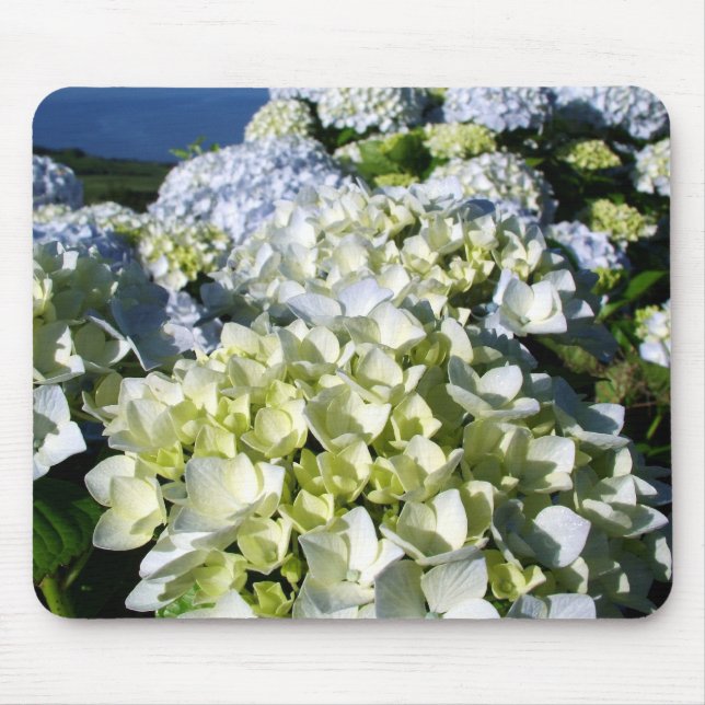 Hydrangen Mousepad (Vorne)