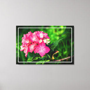 Hydrangia Rosa Blume Leinwanddruck