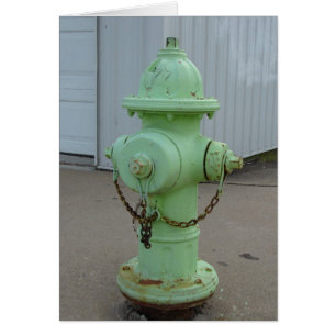 Hydrateur de feu vert de chaux