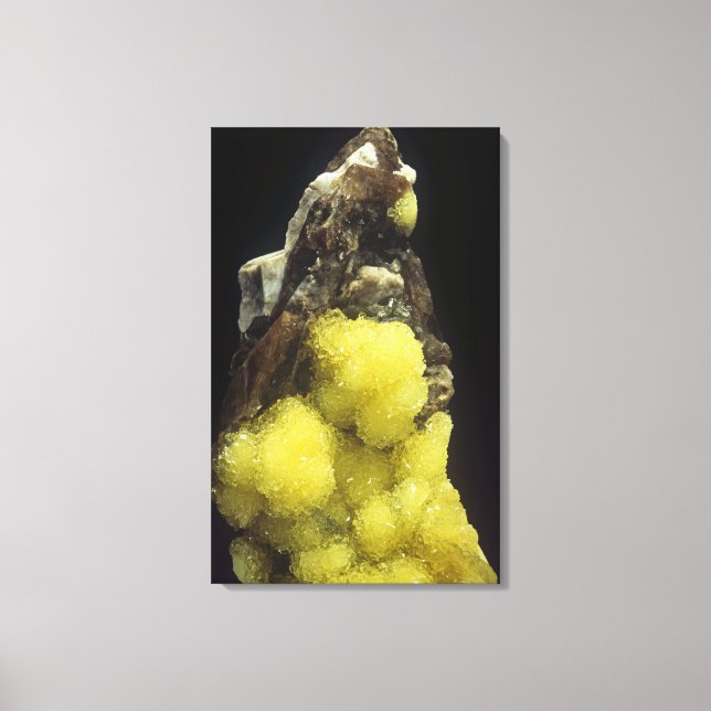 Hydroboracit auf Gorgeyit, Kasachstan Leinwanddruck (Vorderseite)