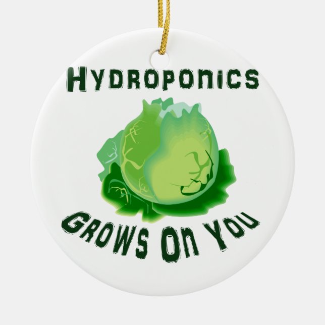 Hydroponik baut auf Ihnen Kopfsalat an Keramikornament (Vorne)