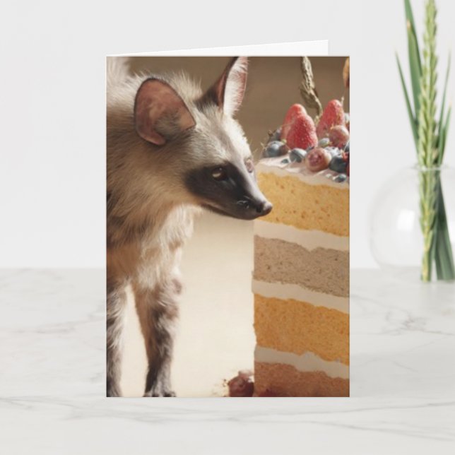 Hyena & Cake Curiosity Greeting Card Karte (Vorderseite)