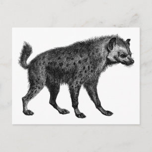 Hyena Postkarte