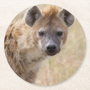 Hyena Runder Pappuntersetzer