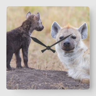 Hyena with young one quadratische wanduhr