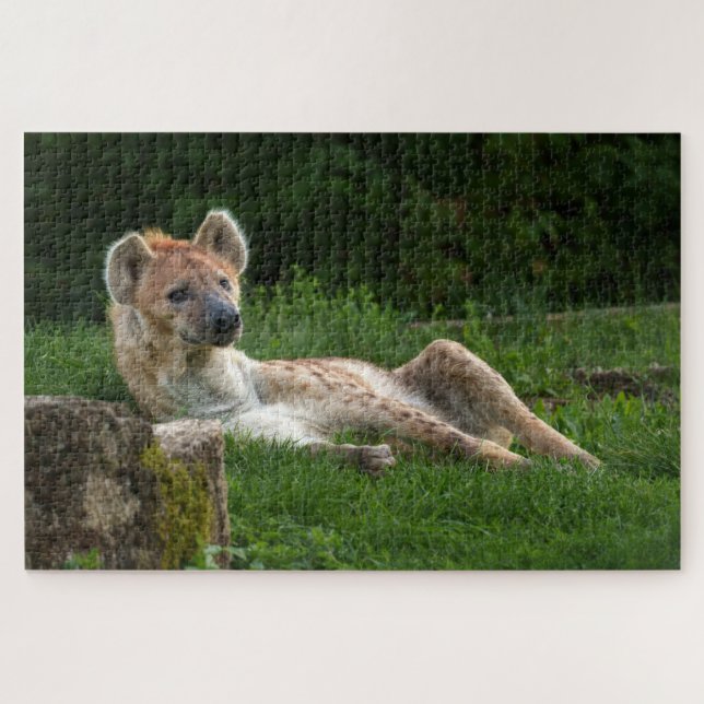 Hyenas Bliss erobert das Lächeln der Natur (Horizontal)