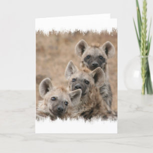 Hyenas Greeting Card Karte