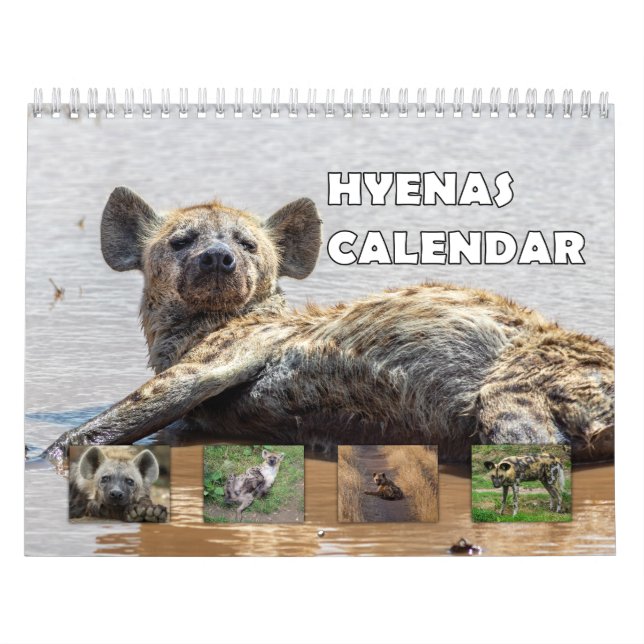 Hyenas Kalender (Titelbild)