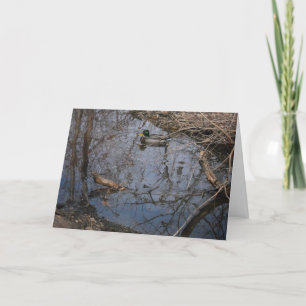 "Hyland Lake Mallard #2" Danke Karte