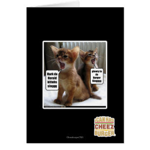 Hymnes de louange de Kitteh